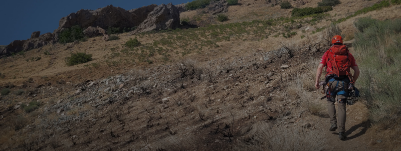 Quando os Exoesqueletos Encontram a Busca e Resgate: Nossa Parceria com a WCSAR