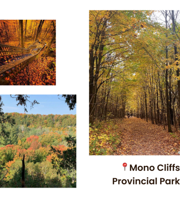 Recomendações de Trilhas para o Outono